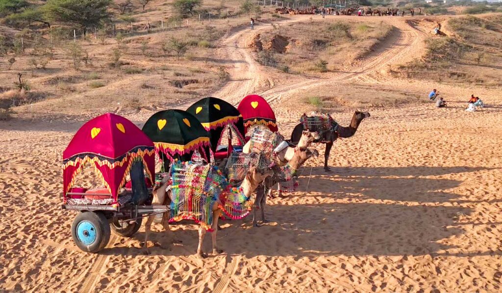 Economic Eats Pushkar